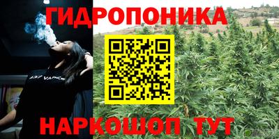 гашишное масло Обь