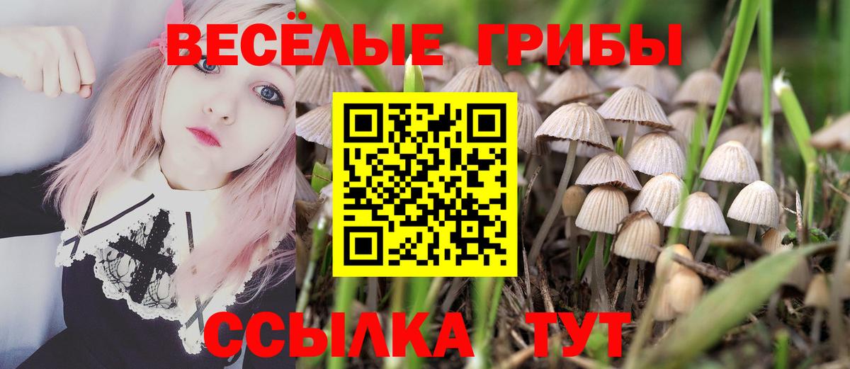 Псилоцибиновые грибы MAGIC MUSHROOMS  Псилоцибиновые грибы MAGIC MUSHROOMS  Вход с VPN  Таганрог 